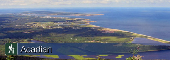 acadian trail pic.jpg